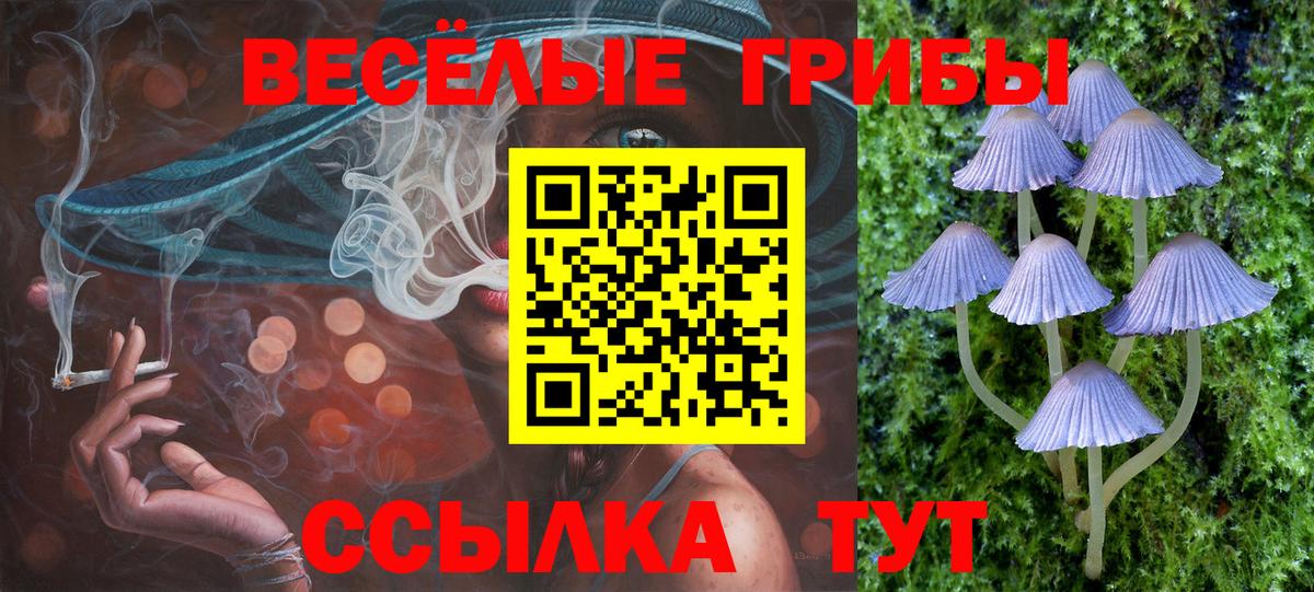 Галлюциногенные грибы мицелий Нижневартовск